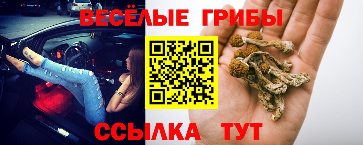 Галлюциногенные грибы ЛСД Хасавюрт